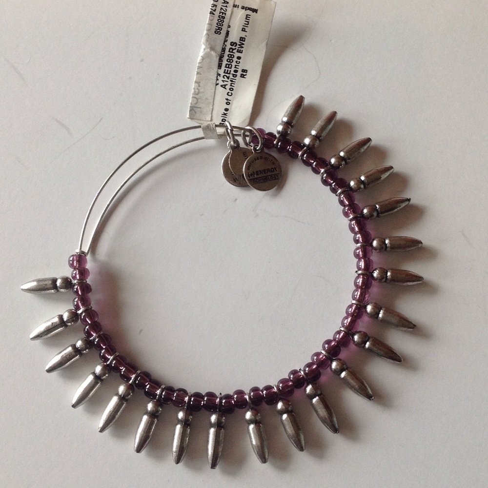 Alex And Ani Spike of Confidence Bracelet Plum